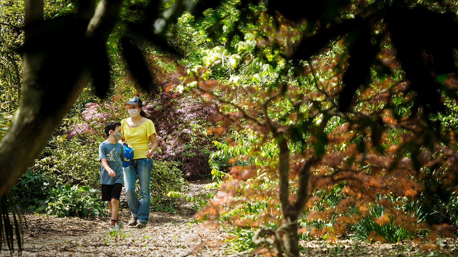 人走JC劳尔斯顿Arboretum