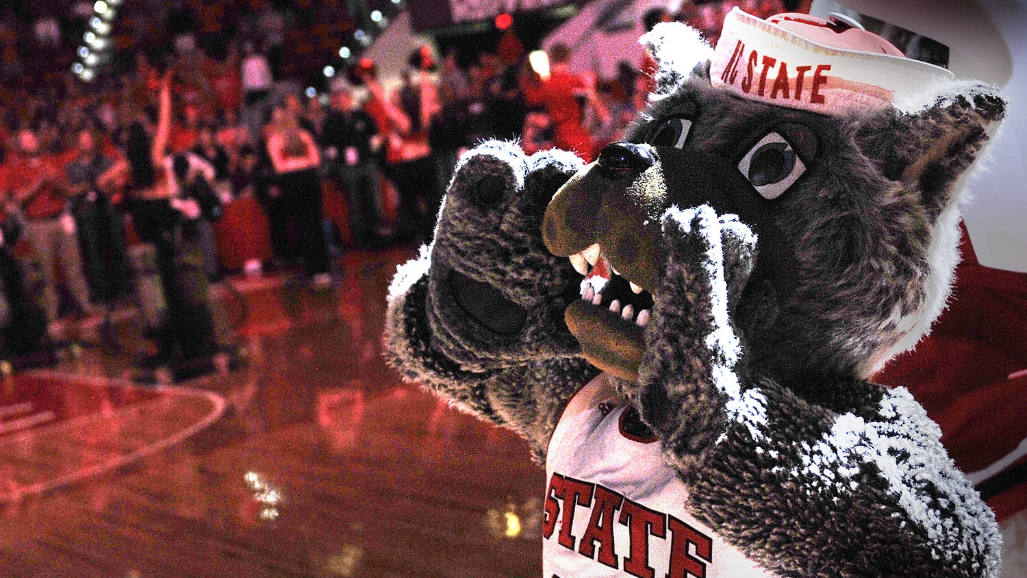 Mr. Wuf howls in Reynolds Coliseum